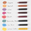 Pk/6 Schneider Pastel Fountain Pen Ink Cartridges, Ice Blue