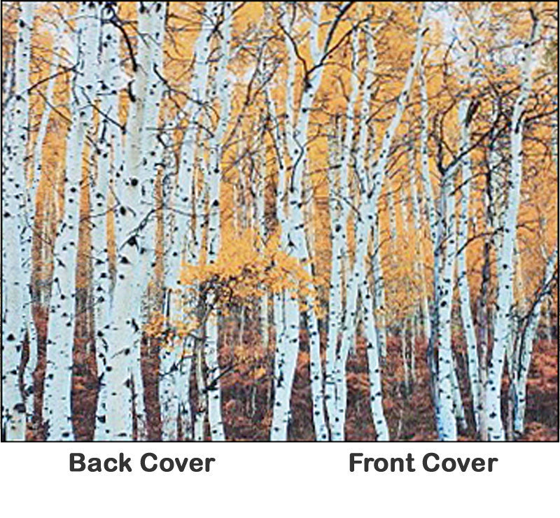 Rosetta Notes Pocket Notebook, 3.5"x5.5", Aspens