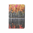 Rosetta Notes Pocket Notebook, 3.5"x5.5", Fall on Red Jack Lake