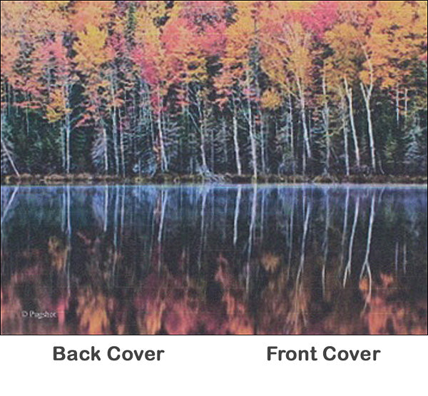 Rosetta Notes Pocket Notebook, 3.5"x5.5", Fall on Red Jack Lake