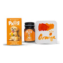 Monteverde 30 ml Bottle Scented Fountain Pen Ink, Orange