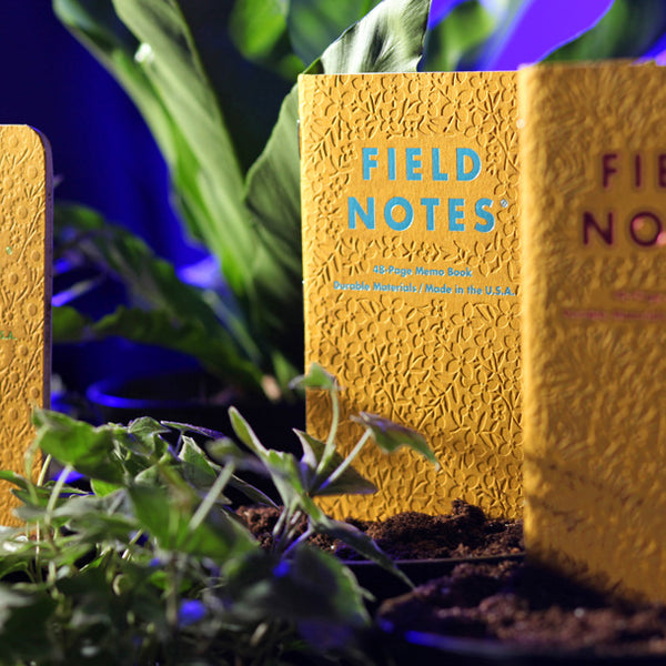 Pack of 3 Field Notes, Signs of Spring, Embossed Yellow Cover, Dot-G