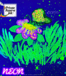 Private Reserve 60 ml Bottle Fountain Pen Ink, Neon Orange