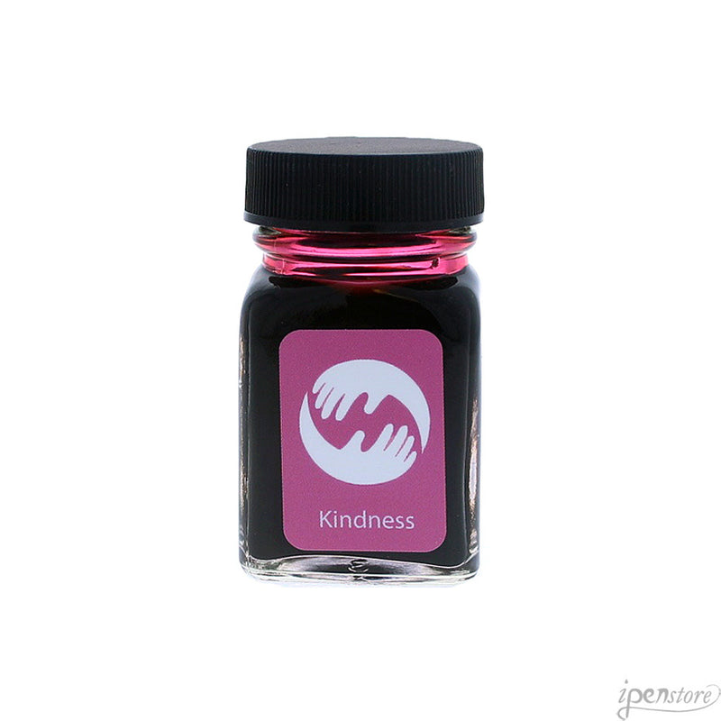 Monteverde 30 ml Bottle Fountain Pen Ink, Kindness Pink
