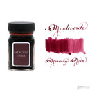 Monteverde 30 ml Bottle Fountain Pen Ink, Mercury Noir