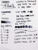 Lamy T52 50 ml Bottle Fountain Pen Ink, Black