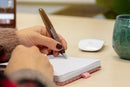 Schneider Ray Fountain Pen, Onyx with Grey Trim - iPenStore
